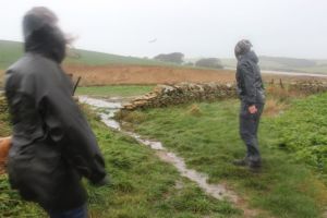 Hariet Charlie walk back