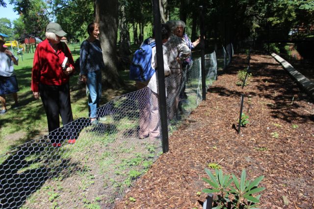 Tamsyn leading Hooker trail-5
