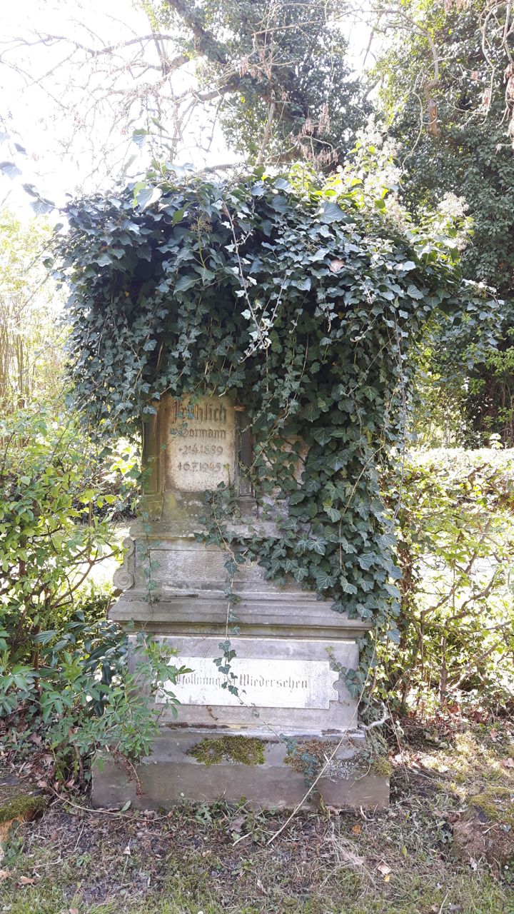 Springe SD Park Cemetery-5