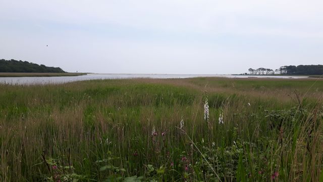 Simon Raven Dogerland Benacre-4