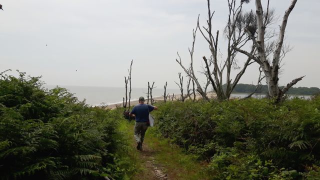 Simon Raven Dogerland Benacre-5