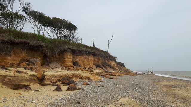 Simon Raven Dogerland Benacre-6