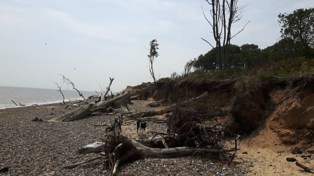 Simon Raven Dogerland Benacre-7