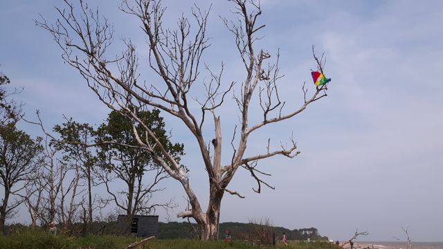 Simon Raven Dogerland Benacre-8