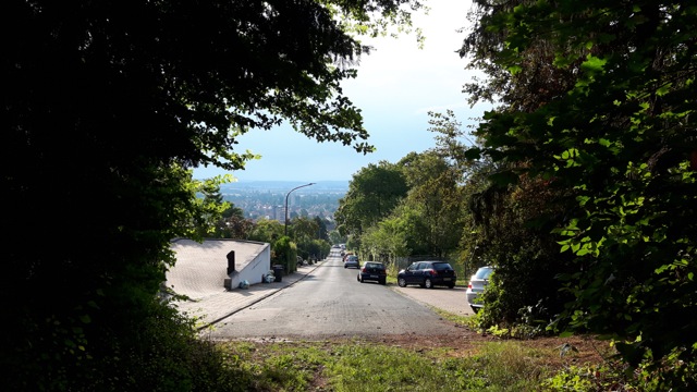 Springe Socratic Dialogue-11