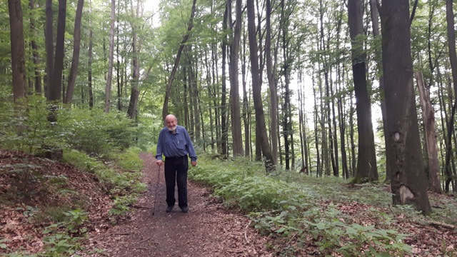 Springe Socratic Dialogue-26