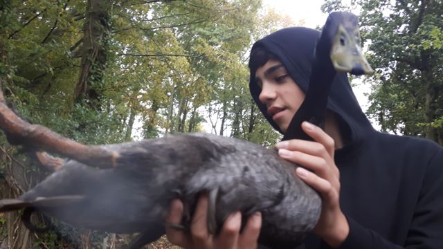 Indian Runners Luis Sarah-2