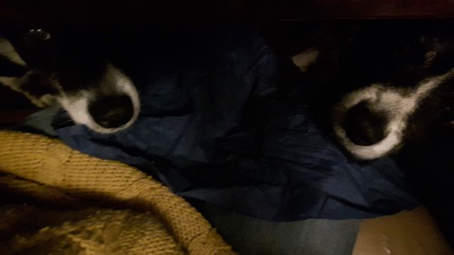 Leslie Tracy Walbersick-3