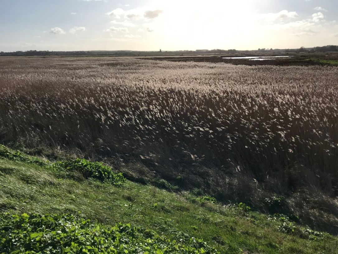 Norfolk Brancaster to Burnham Overy -2