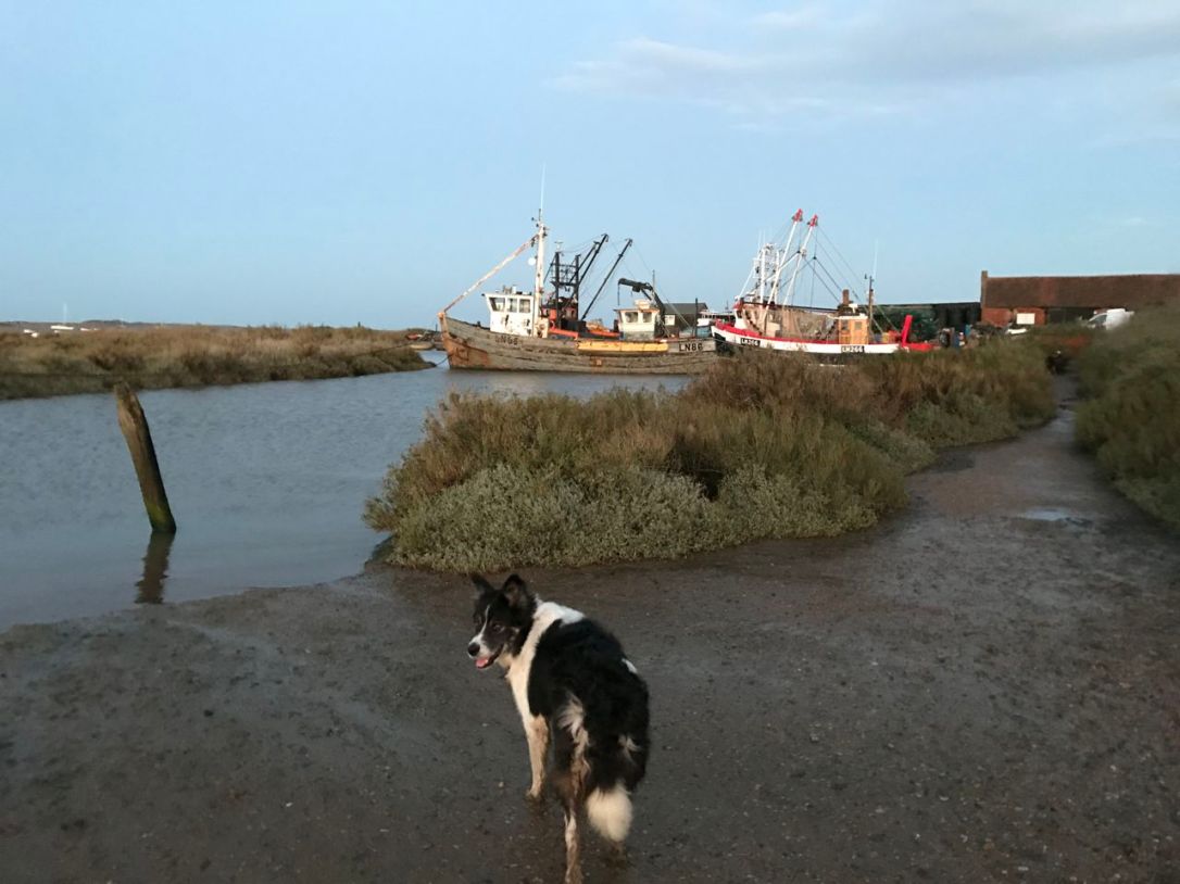 Norfolk Brancaster Wak