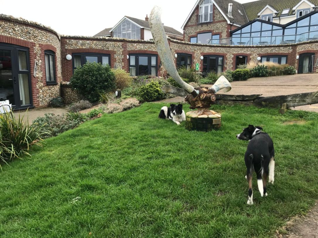 Norfolk Brancaster White Horse-3