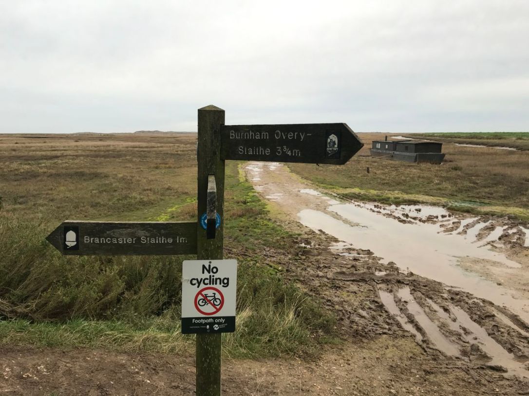 Norfolk Brancvaster-3