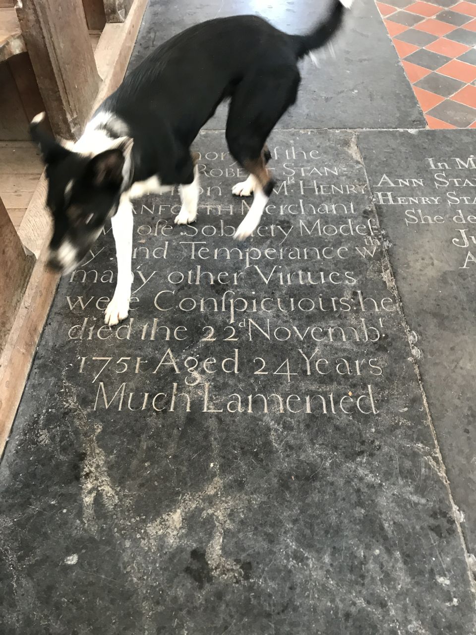 Norfolk Church Saltmarsh-2