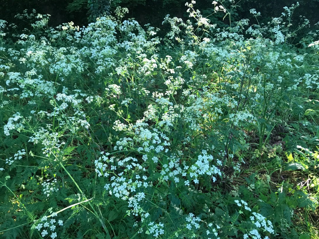 9B93BFFF-76C6-4816-8830-13FF75BF4A40