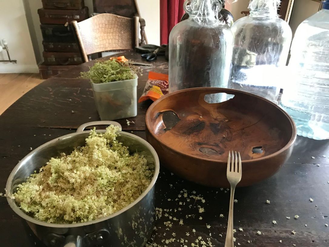 Elderflower Cordial-3