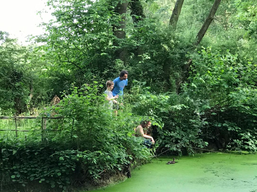 Woodland releasing the duck-2