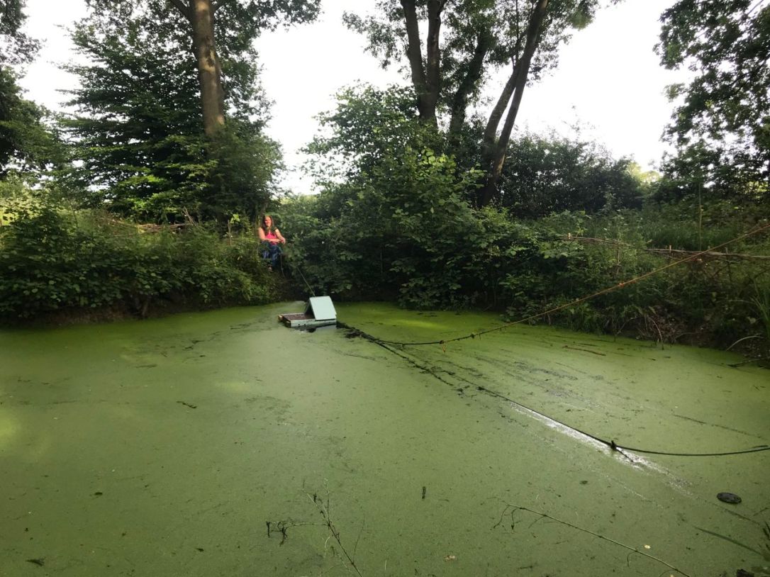 Woodland releasing the duck-3