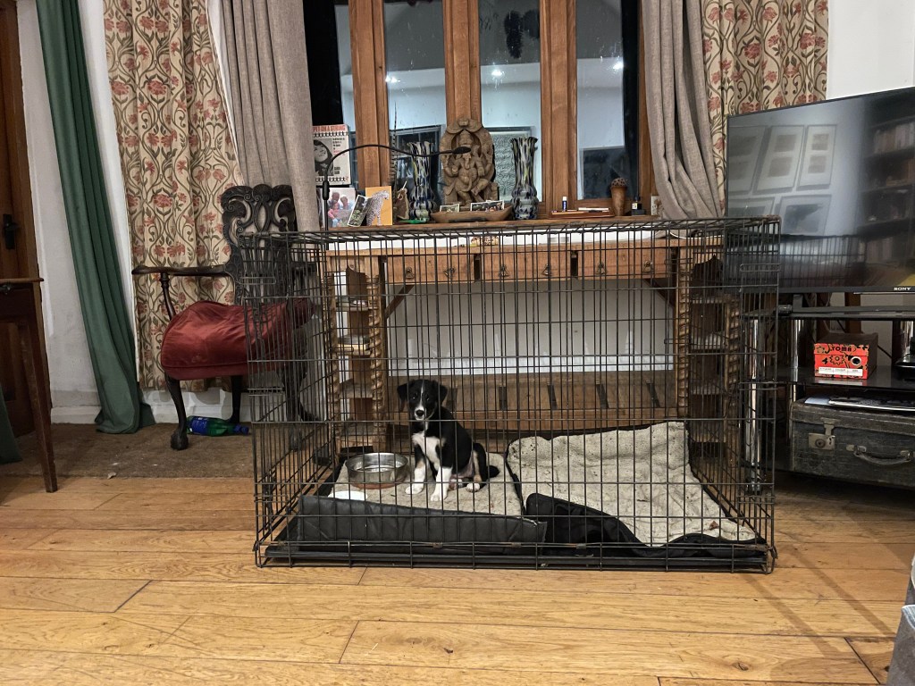 In  the huge cage